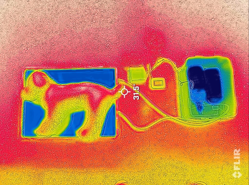 サーモグラフィー愛犬元気　わんこの暑熱対策　犬小屋でわんこが大変なことに！